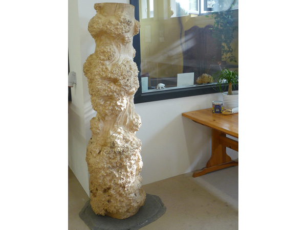 Objet Atelier Ours Blanc