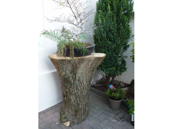 Objet Atelier Ours Blanc