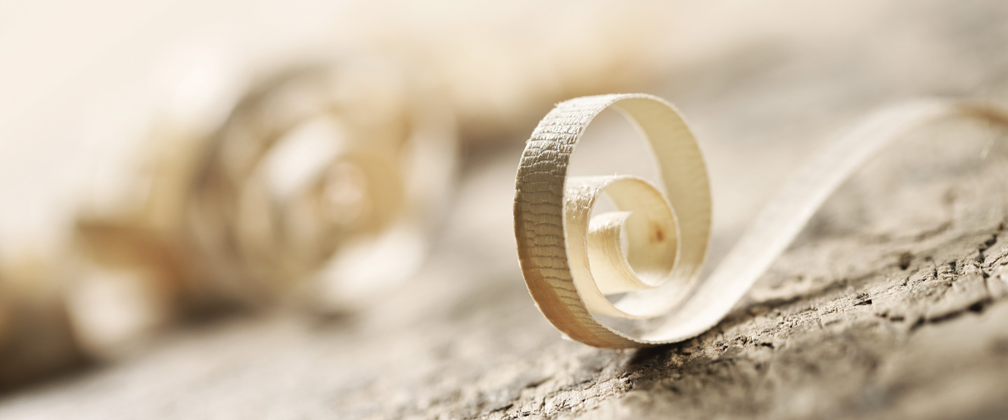 Atelier de l'Ours Blanc